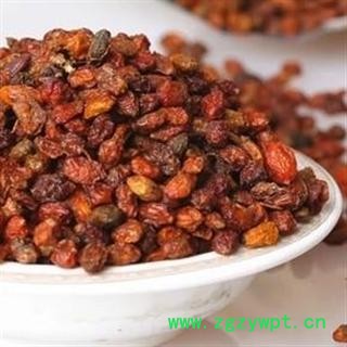 沙棘 选 沙棘 产地 新疆 诚信堂药铺批发各种中药材图4