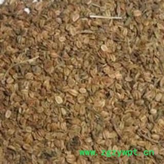 蛇床子 选 蛇床子 批发各种中药材 花茶 果实籽仁 产地 河南省平顶山市石龙区图3