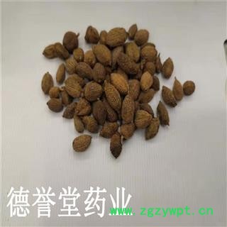 德誉堂药业 砂仁 统 砂仁 批发各种中药材图3