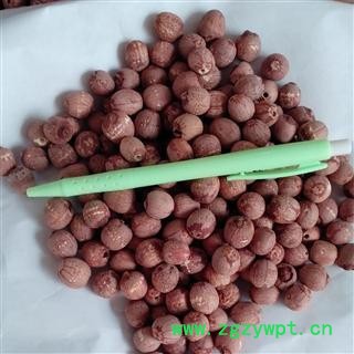 红莲米 抽芯 红圆莲 产地 湖南省 德誉堂药业批发各种中药材图2