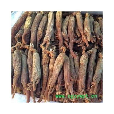 红参 红参纯无糖25支 新店开张低价促销冲销量  含量够  产地 吉林省