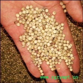 德誉堂药业白胡椒 胡椒粒 选白胡椒  产地 海南省图3