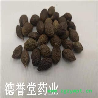 德誉堂药业 胖大海 统 圆粒胖大海 批发各种中药材图2