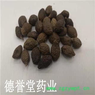 德誉堂药业 胖大海 统 圆粒胖大海 批发各种中药材图4