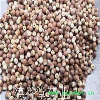 德誉堂药业 芡实圆个 选装中粒个 鸡头米 量大从优图4