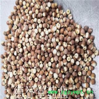 德誉堂药业 芡实圆个 选装中粒个 鸡头米 量大从优图3