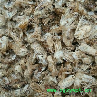 原蚕蛾 精品好统过筛 产地 辽宁省图2