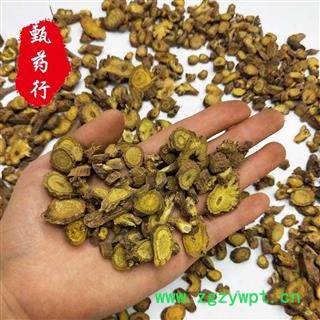 黄芩 大片无硫过0.6筛 一手货源批发 产地甘肃 甄选药材行 为你真选好药材图3
