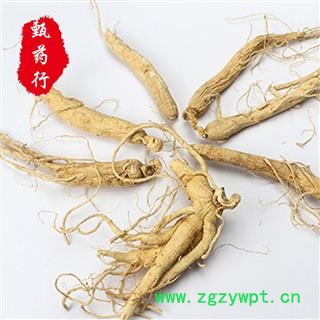 人参35支 参龄8年以上 生晒参原皮参无硫选货 一手货源批发  产地吉林 甄选药材行 为你真选好药材图3