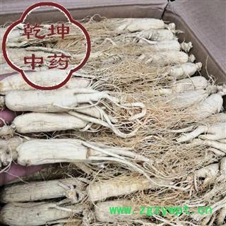 人参 东北老参  生晒参25支 产地 吉林省【品种齐全 诚信经营】图2