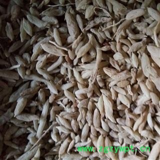 麦冬 湖北麦冬统货 产地 湖北省图2