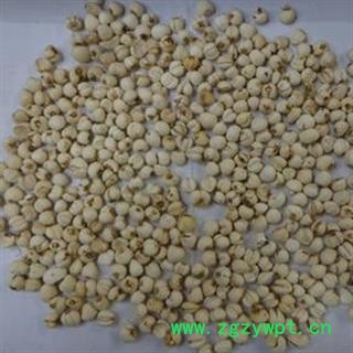 贝母 母 0.6-0.7 怀中抱月 地道好货 经营各种中药材 产地 吉林省图2