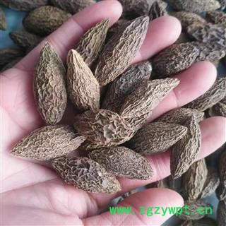 安祁名药正品西青果  橄榄果 皇帝果图2