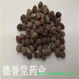 德誉堂药业阳春砂仁 正品阳春砂仁米 选 产地 广东阳春市图2