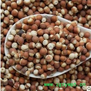 德誉堂药业芡实 选装，芡实个 12厘选装  批发各种中药材图2