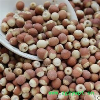 德誉堂药业芡实 选装，芡实个 12厘选装  批发各种中药材图4