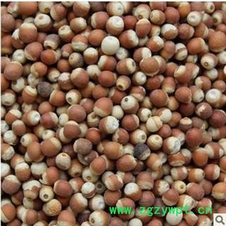 德誉堂药业芡实 选装，芡实个 12厘选装  批发各种中药材图3