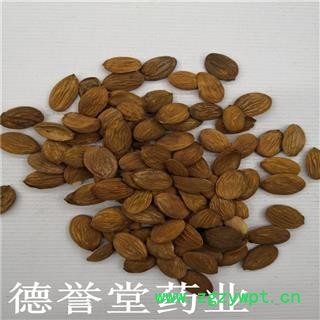 桃仁 选 家桃仁  产地 山东省 德誉堂药业批发中药材图3