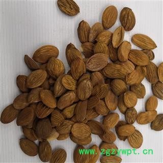 桃仁 选 家桃仁  产地 山东省 德誉堂药业批发中药材图4