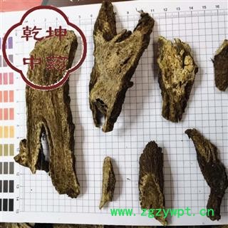 云木香  广木香 统货，高含量 产地 云南省【诚信经营 品种齐全】图2