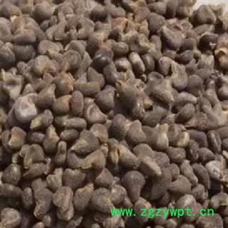 冬葵子 选 冬葵子 产地 河南省 德誉堂药业批发各种中药材图3