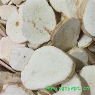 花粉 天花粉统片 改良品种 产地 山东省图2