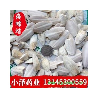 海螵蛸 海螵蛸小选货 产地 海外