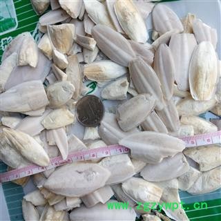 海螵蛸 海螵蛸小选货 产地 海外图2