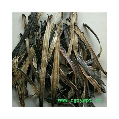 地龙 广地龙全开个 产地 广西壮族自治区