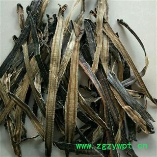 地龙 广地龙全开个 产地 广西壮族自治区图2