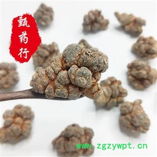 三七 三七14头水洗精选货 一手货源批发 产地云南文山 甄选药材行 甄药行图4