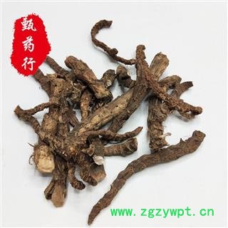 藏菖蒲 统个 一手货源批发 产地西藏 甄选药材行 为你真选好药材图2