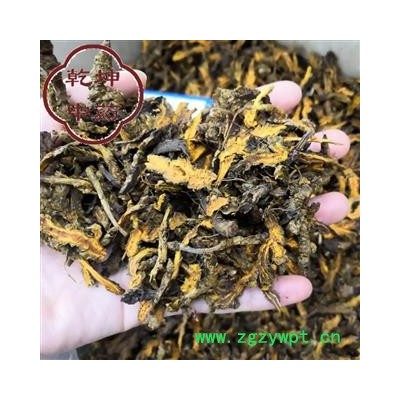 黄连 高含量黄连片 产地 四川市【品种齐全 诚信经营】