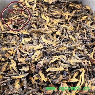 黄连 高含量黄连片 产地 四川市【品种齐全 诚信经营】图3