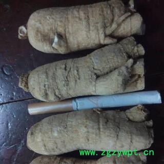 西洋参 西洋参 西洋参长支20-25g 单支平均22克  产地 吉林省图2