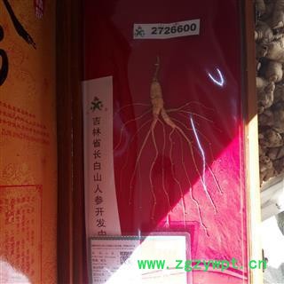 人参 人参 半野生 称为移山参 龙头礼品参盒 外观精美 送出健康  产地 吉林省图2