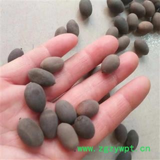 安祁名药正品甜石莲 带皮莲子 壳莲子图2
