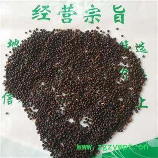 安祁名药正品椒目 川椒目 花椒目图2