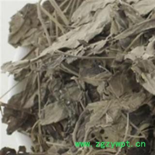 安祁名药正品五指柑图2