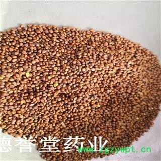 莱菔子 统 莱菔子 产地 山东省 批发各种中药材图4