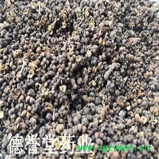 吴茱萸 中大花吴茱萸 产地湖北 批发各种中药材