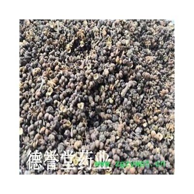 吴茱萸 中大花吴茱萸 产地湖北 批发各种中药材