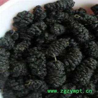 德誉堂药业 桑葚子 选 桑葚 产地 新疆 批发各种中药材图4