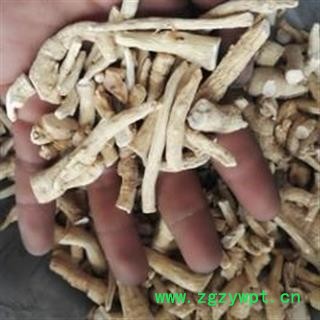 西洋参 小条 产地 吉林省图2