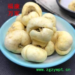 浙贝母  1.8以上  纯干货 15天无条件退货 产地 浙江省金华市图2