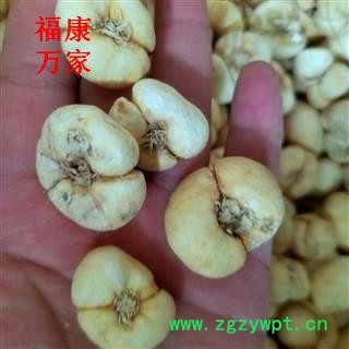 浙贝母  1.8以上  纯干货 15天无条件退货 产地 浙江省金华市图3