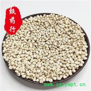 川贝母 正品野生珍珠贝选货 一手货源批发 产地四川 甄选药材行图4