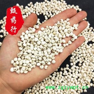 川贝母 正品野生珍珠贝选货 一手货源批发 产地四川 甄选药材行图3