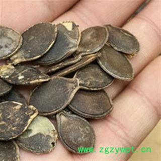 安祁名药南瓜子 白南瓜子  黑南瓜子图2