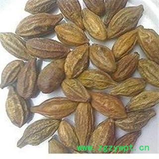 正品 诃子 柯子 德誉堂药业批发各种中药材 花果茶 矿石图3